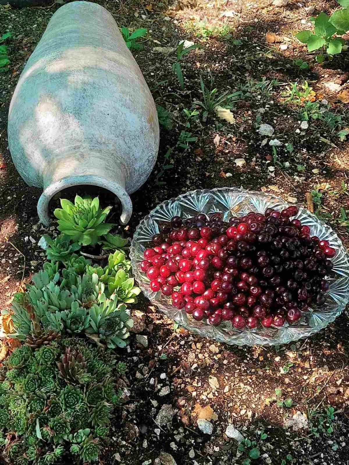 Aria Daire Cetinje Dış mekan fotoğraf