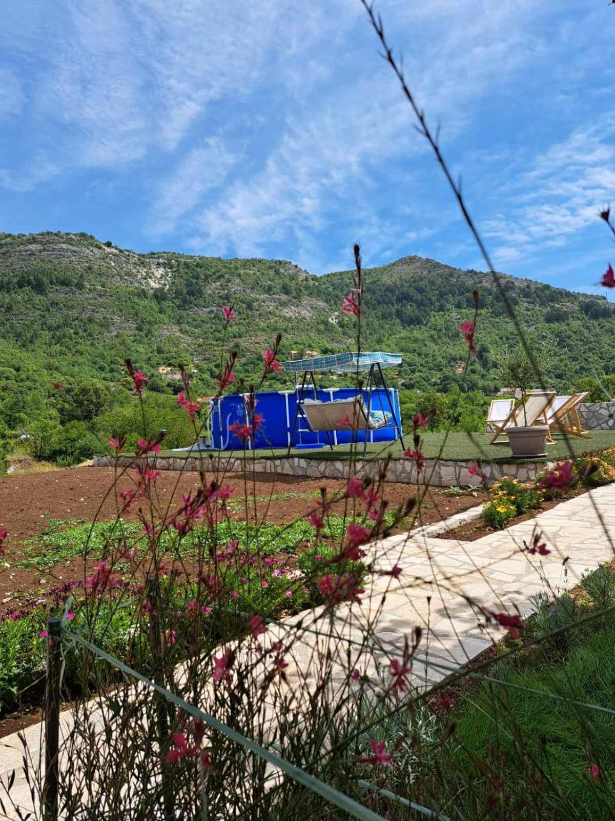 Aria Daire Cetinje Dış mekan fotoğraf